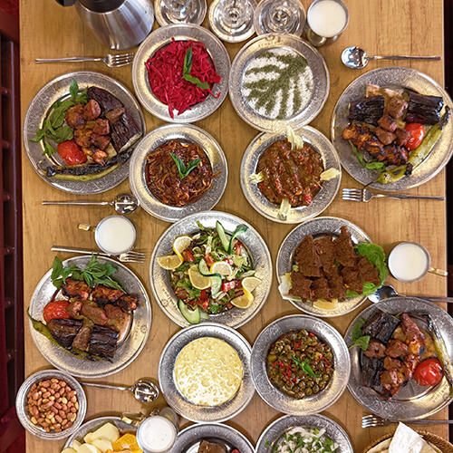 8500 Mutlu Misafirler